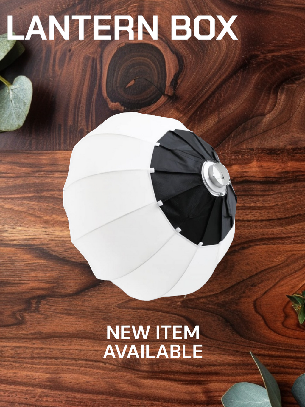 Ball Shape Studio Softbox 65 cm for Photography & Videography